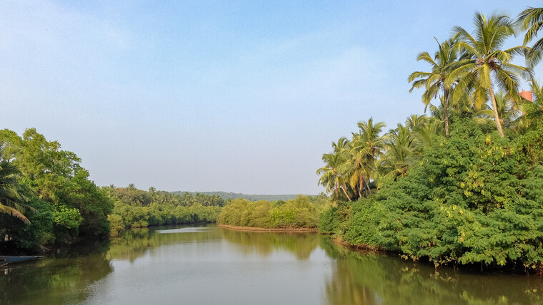 India 2014 - Goa 010.jpg